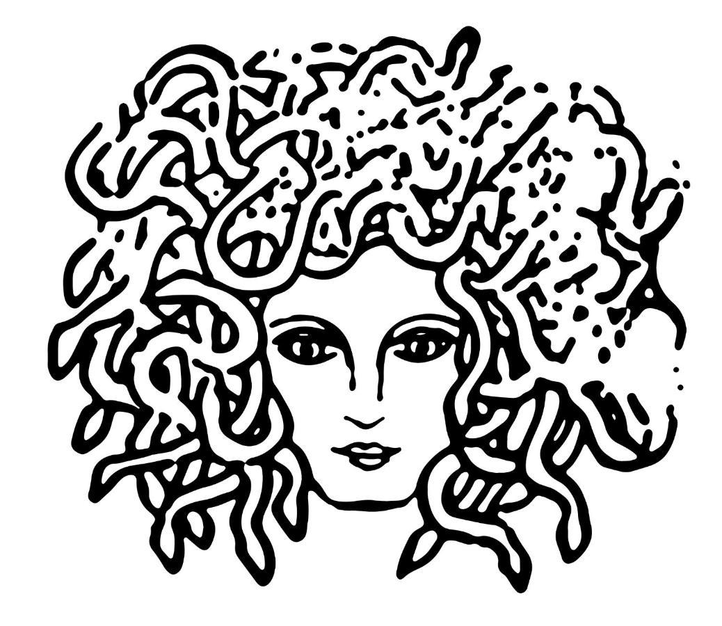 Medusa Duomo Guest House Napoli Bagian luar foto
